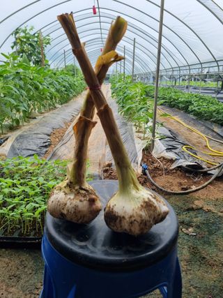 장례지도사1급님의 자유주제 · 자유게시판 작성글 사진