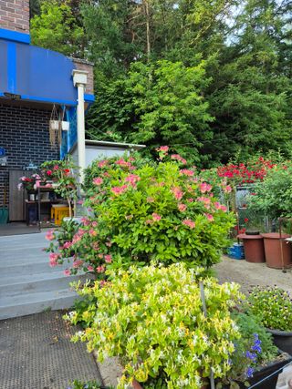 엘림농장님의 자유주제 · 사진전 작성글 사진