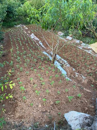 천예별님의 자유주제 · 자유게시판 작성글 사진