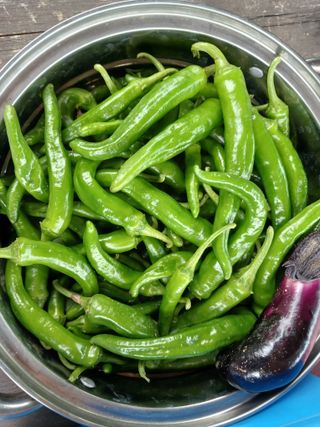 금동이네님의 자유주제 · 자유게시판 작성글 사진