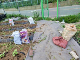 땅땅님의 자유주제 · 자유게시판 작성글 사진