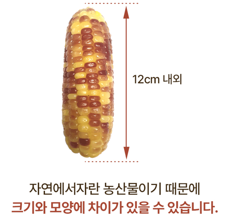 스피드번님의 장터 판매 상품 [홍찰옥수수] 첨부 사진