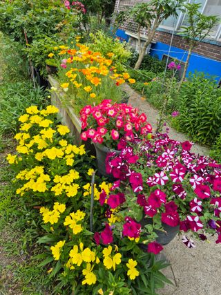 엘림농장님의 자유주제 · 사진전 작성글 사진