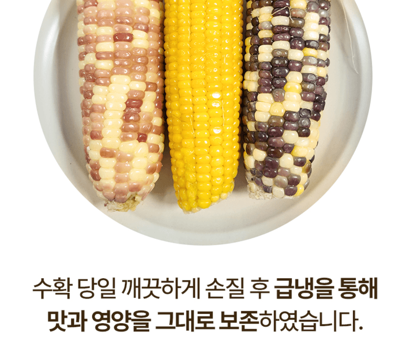 스피드번님의 장터 판매 상품 [찰옥수수 혼합 3종] 첨부 사진