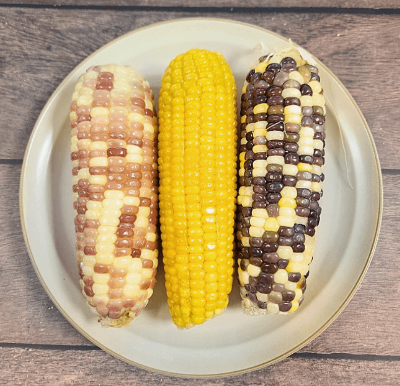 장터 상품 [찰옥수수 혼합 3종] 썸네일