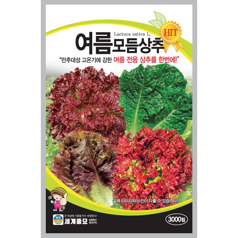장터 상품 [모듬 여름상추씨앗 3000립 여름상추씨앗] 썸네일