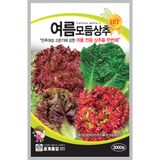팜모닝 · 게시글 이미지