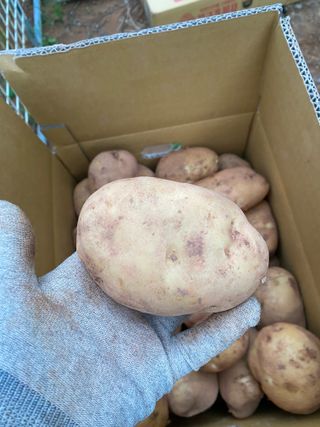 천예별님의 자유주제 · 자유게시판 작성글 사진