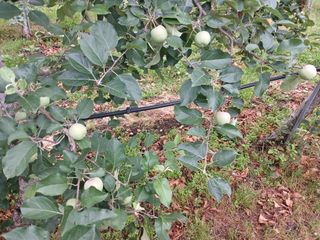 알 수 없음님의 자유주제 · 자유게시판 작성글 사진