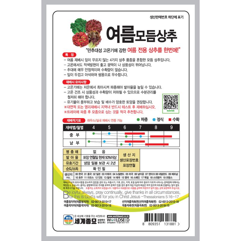 주주씨앗님의 장터 판매 상품 [모듬 여름상추씨앗 3000립 여름상추씨앗] 첨부 사진