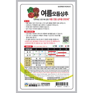 주주씨앗님의 작성글 사진