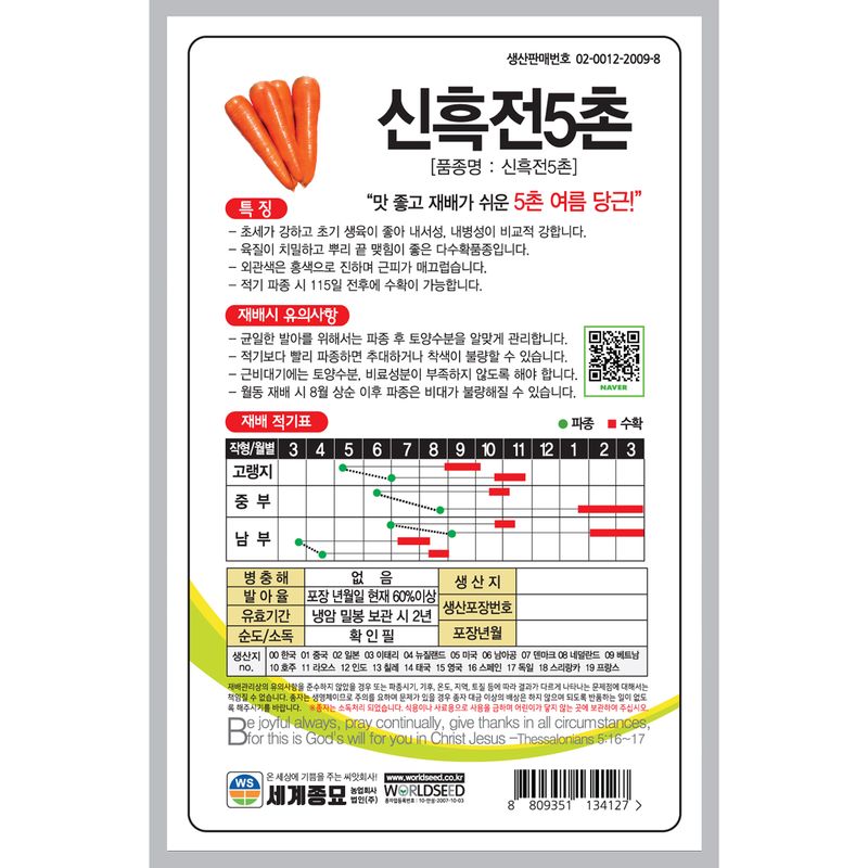 주주씨앗님의 장터 판매 상품 [신흑전5촌 당근 6g 당근씨앗 ] 첨부 사진