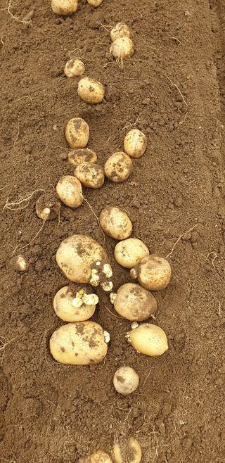 진상미1128님의 자유주제 · 자유게시판 작성글 사진