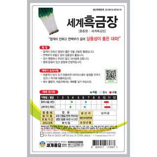 주주씨앗님의 작성글 사진