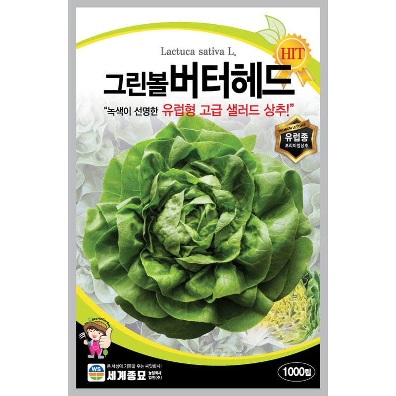 장터 상품 [그린볼버터헤드 1000립 버터헤드씨앗] 썸네일