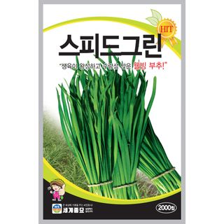 주주씨앗님의 작성글 사진