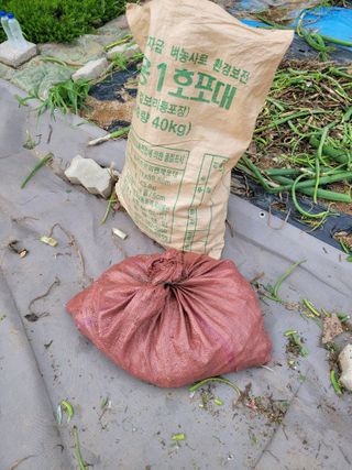 땅땅님의 자유주제 · 자유게시판 작성글 사진