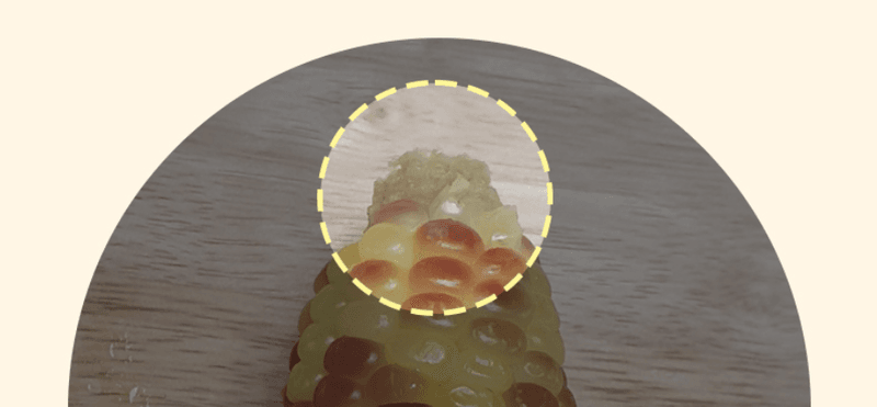 스피드번님의 장터 판매 상품 [찰옥수수 혼합 3종] 첨부 사진