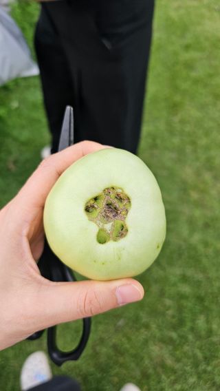 김현정님의 자유주제 · 자유게시판 작성글 사진