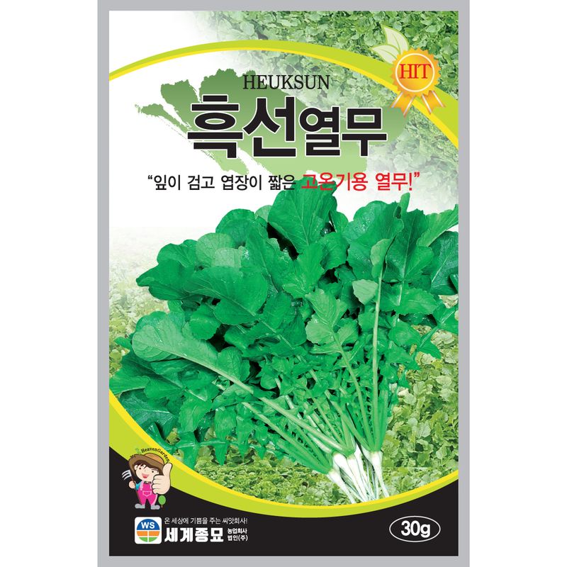 장터 상품 [[세계] 흑선열무 30g / 열무 씨앗] 썸네일