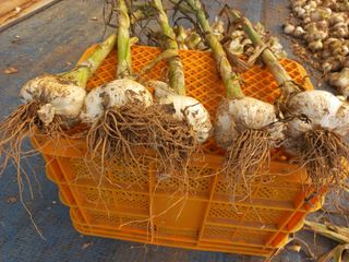 박린님의 자유주제 · 자유게시판 작성글 사진