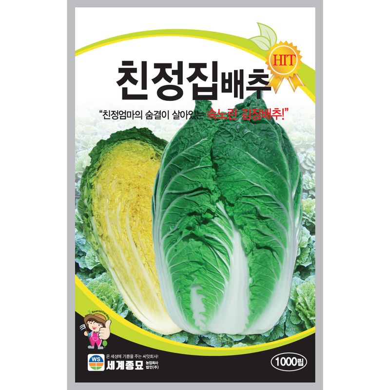 장터 상품 [친정집배추 1000립 배추씨앗 / 김장배추 씨앗, 김장배추 종자] 썸네일
