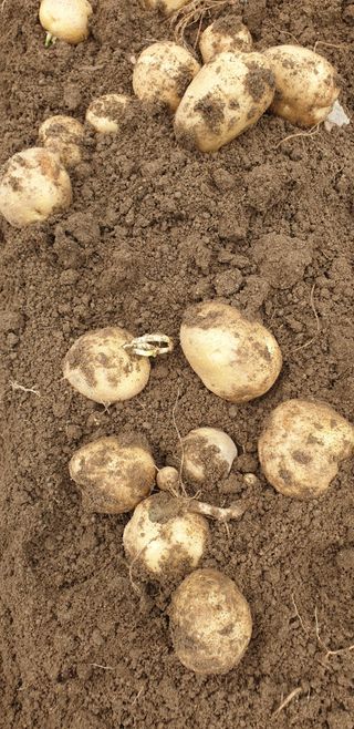 진상미1128님의 자유주제 · 자유게시판 작성글 사진