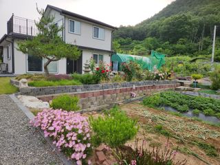 황금송2002님의 작성글 사진