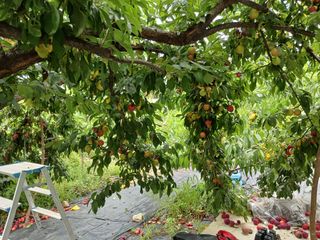 금동이네님의 자유주제 · 자유게시판 작성글 사진