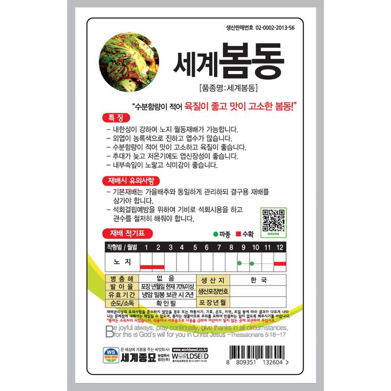 주주씨앗님의 장터 판매 상품 [[세계] 봄동 20g / 월동채소, 봄동 씨앗 / 김장채소 씨앗] 첨부 사진