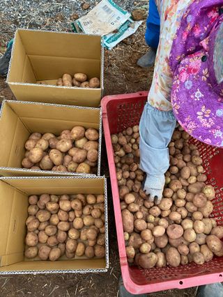 천예별님의 자유주제 · 자유게시판 작성글 사진