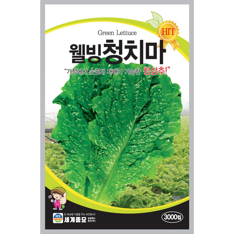 장터 상품 [웰빙청치마 3000립 상추씨앗 쌈채소] 썸네일