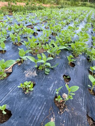 천예별님의 자유주제 · 자유게시판 작성글 사진