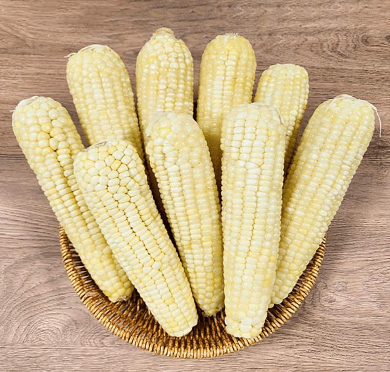 장터 상품 [백찰옥수수 (특품)] 썸네일