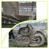 팜모닝 자유주제·자유게시판 게시글 이미지