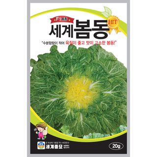 주주씨앗님의 작성글 사진