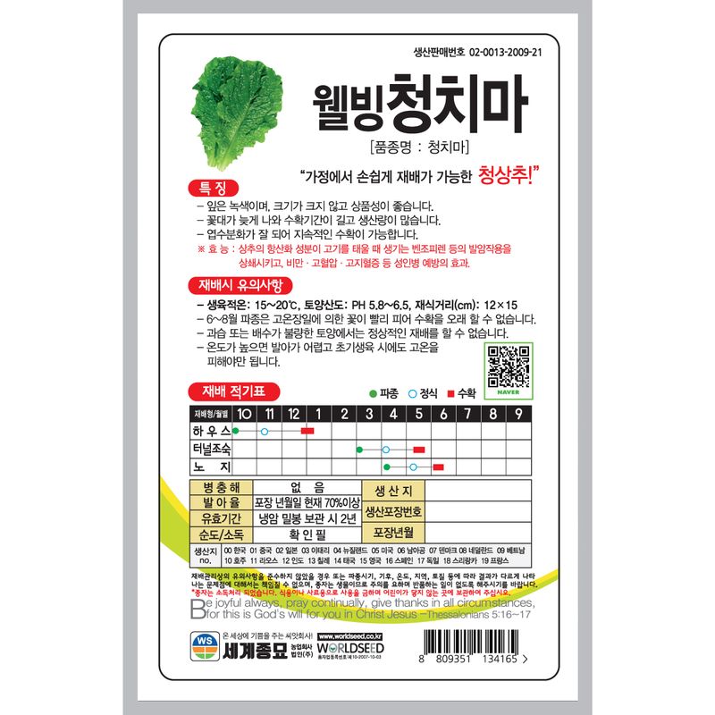 주주씨앗님의 장터 판매 상품 [웰빙청치마 3000립 상추씨앗 쌈채소] 첨부 사진