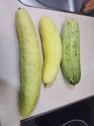 원빈님의 자유주제 · 자유게시판 작성글 사진