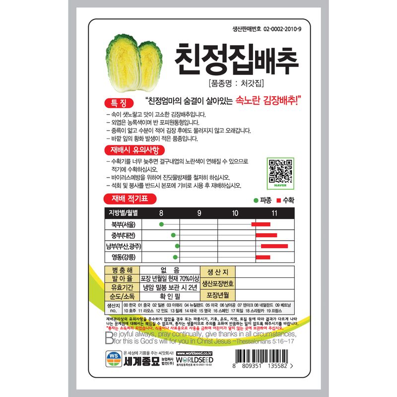 주주씨앗님의 장터 판매 상품 [친정집배추 1000립 배추씨앗 / 김장배추 씨앗, 김장배추 종자] 첨부 사진