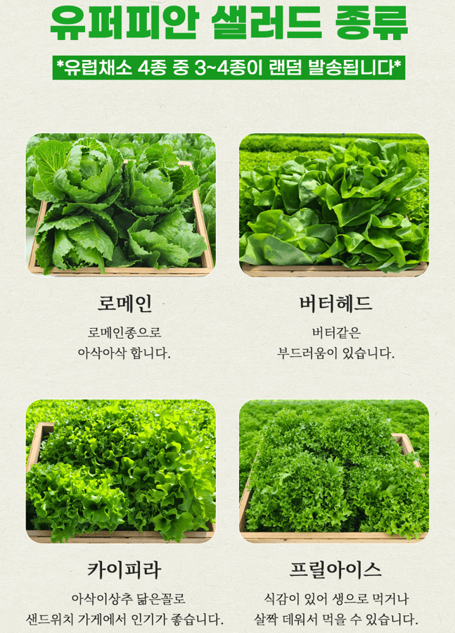 스피드번님의 장터 판매 상품 [[GAP] 유러피안 채소] 첨부 사진