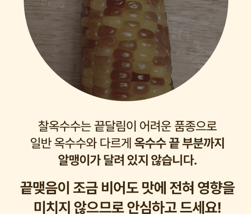 스피드번님의 장터 판매 상품 [백찰옥수수 (특품)] 첨부 사진