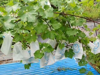 금동이네님의 자유주제 · 자유게시판 작성글 사진