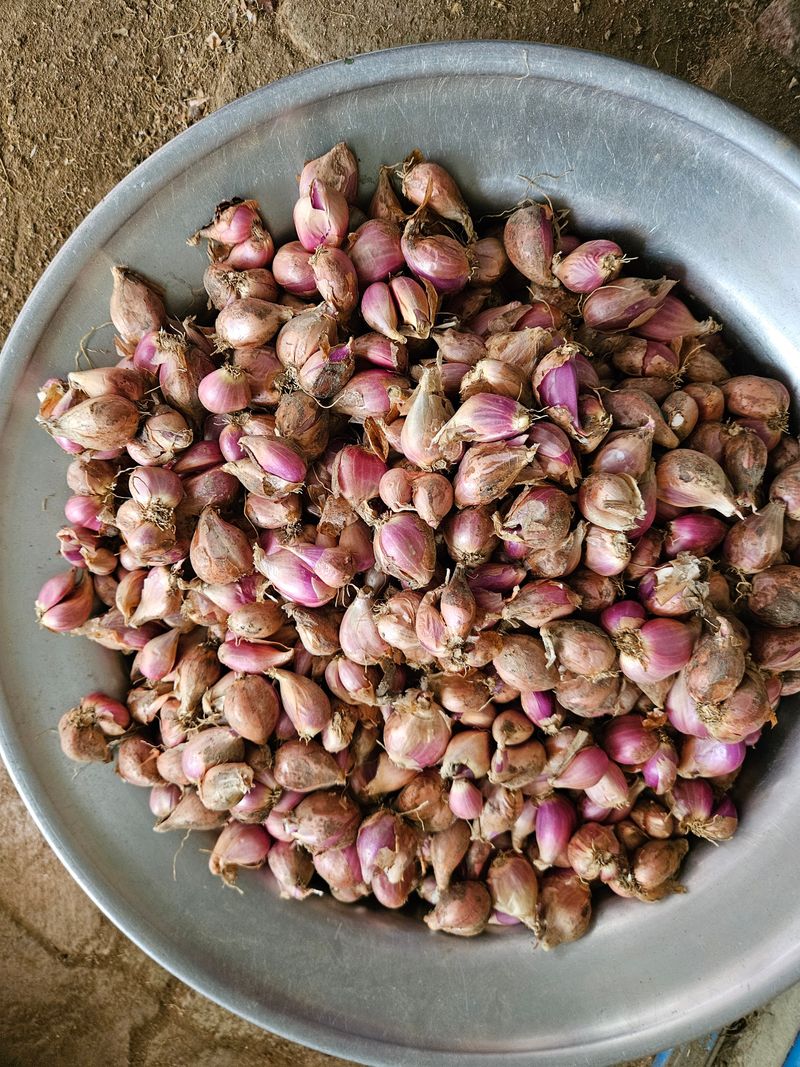 장터 상품 [판매완료] 썸네일