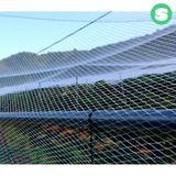 팜모닝 · 게시글 이미지