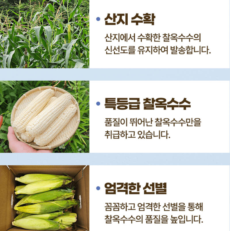 스피드번님의 장터 판매 상품 [(냉동) 강원도 미백옥수수] 첨부 사진