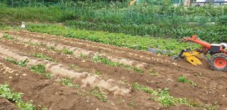 진상미1128님의 자유주제 · 자유게시판 작성글 사진