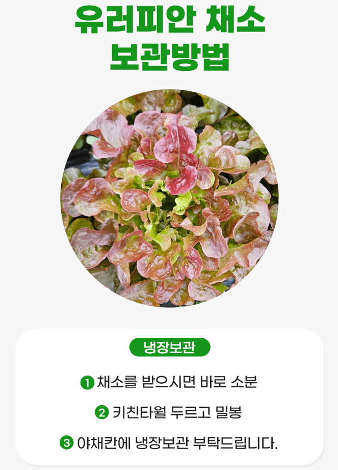 스피드번님의 장터 판매 상품 [[GAP] 유러피안 채소] 첨부 사진