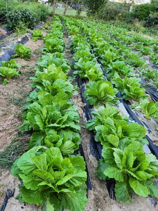 이준희님의 작성글 사진