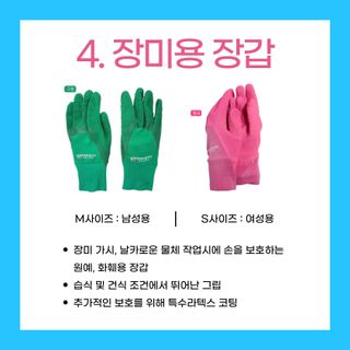 아시아종묘님의 자유주제 · 자유게시판 작성글 사진