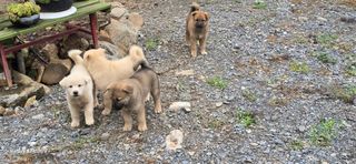 이종록님의 자유주제 · 자유게시판 작성글 사진